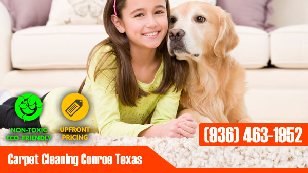 Carpet Cleaning Conroe Texas Banner